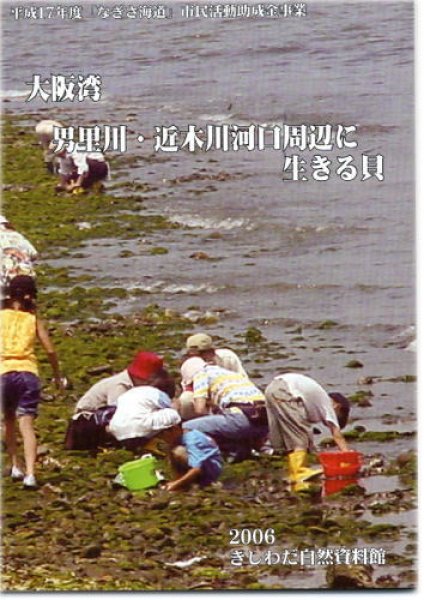 画像1: 大阪湾　男里川・近木川河口周辺に生きる貝 (1)