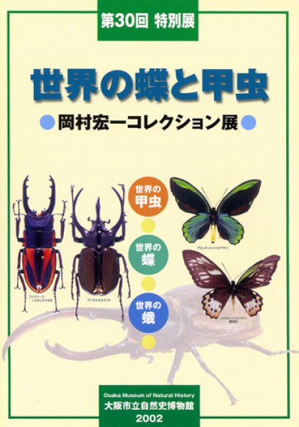 画像1: 世界の蝶と甲虫－岡村宏一コレクション展－ (1)