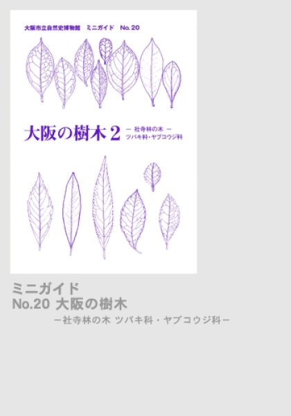 画像1: ミニガイドNo.20「大阪の樹木 2 - 社寺林の木　ツバキ科・ヤブコウジ科 -」 (1)