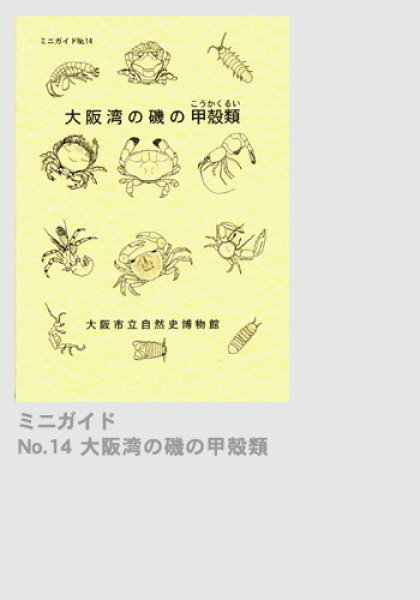 画像1: ミニガイドNo.14「大阪湾の磯の甲殻類」 (1)