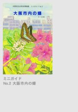 世界の蝶と甲虫－岡村宏一コレクション展－ - 大阪市立自然史