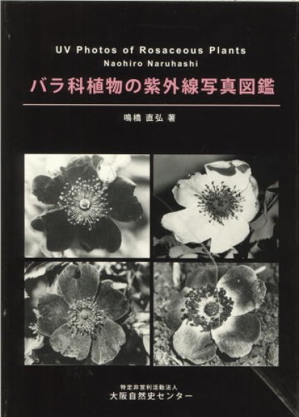 画像1: バラ科植物の紫外線写真図鑑 (1)