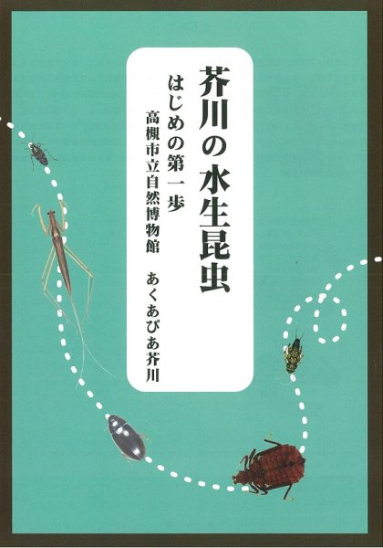 画像1: 芥川の水生昆虫　はじめの第一歩 (1)