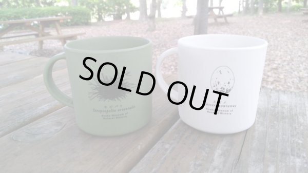 画像2: 鳥の巣と卵バンブーマグカップ (2)