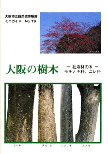 画像1: ミニガイドNo.19「大阪の樹木 - 社寺林の木　モチノキ科・ニレ科 - (1)