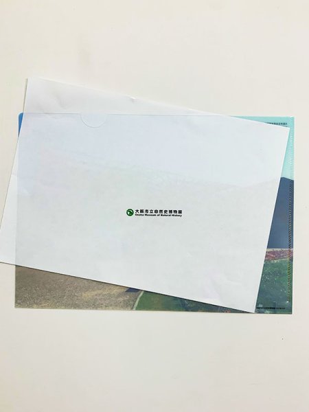 画像3: 博物館クリアファイル「クジラの骨格と植物（ポーチ）」 (3)