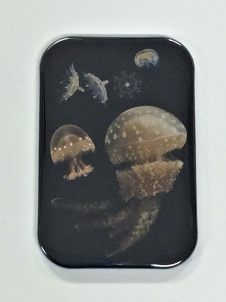 画像4: クラゲ缶バッジ (4)