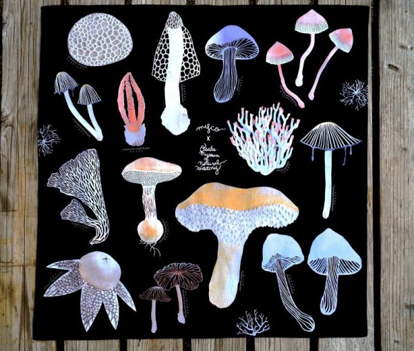 画像2: キノコの切り絵ハンカチ (2)