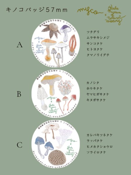 画像2: キノコの切り絵バッジ (2)