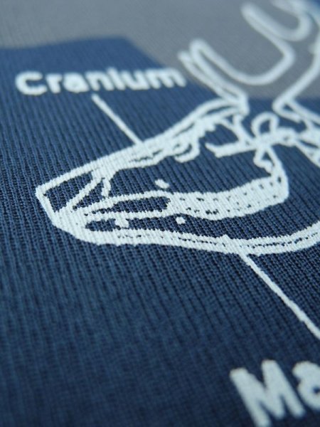 画像8: ニホンジカ♂全身骨格Ｔシャツ (8)