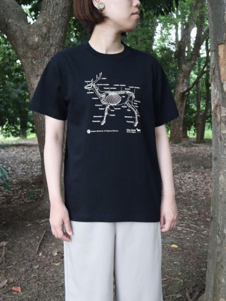 画像2: ニホンジカ♂全身骨格Ｔシャツ (2)
