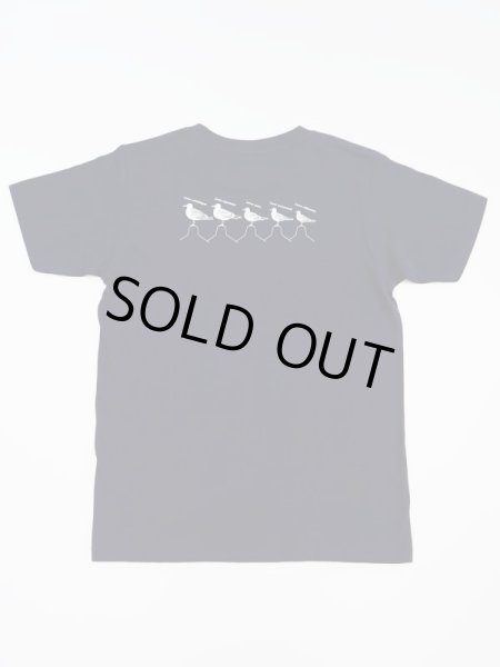 画像6: カモメＴシャツ (6)