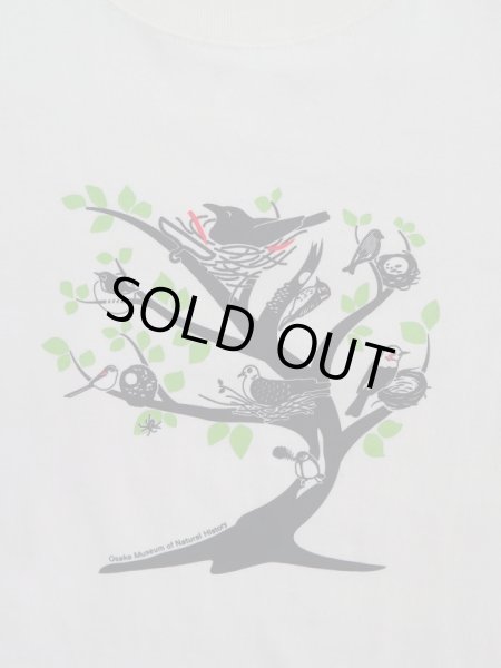 画像2: 鳥の巣Tシャツ (2)