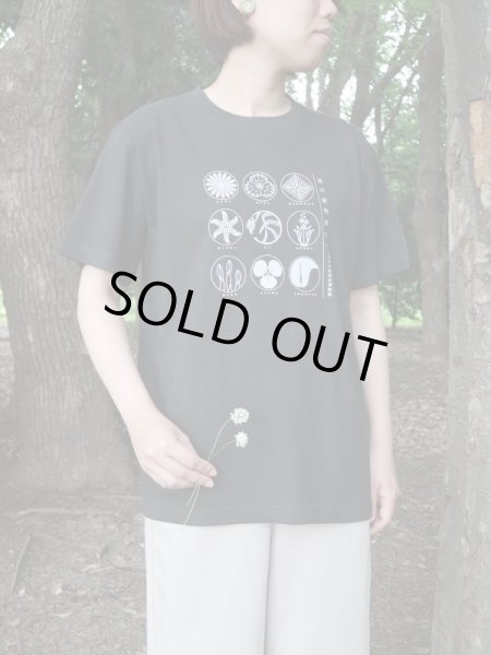 画像2: 淀川植物図譜Ｔシャツ (2)