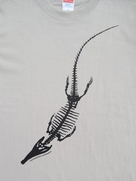 画像4: マチカネワニＴシャツ (4)