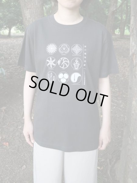 画像3: 淀川植物図譜Ｔシャツ (3)