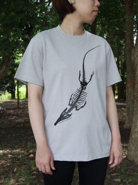 画像2: マチカネワニＴシャツ (2)