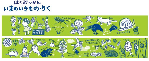 画像5: 【New】はくぶつかん いきものマスキングテープ (5)