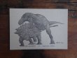 画像3: ズールとゴルゴサウルス 活版カード (3)