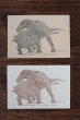 画像1: ズールとゴルゴサウルス 活版カード (1)