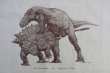 画像5: ズールとゴルゴサウルス マルシェバッグ (5)