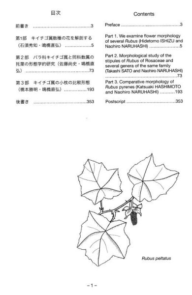 画像2: キイチゴを切る (2)