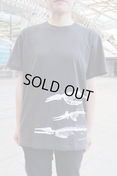 画像5: 大阪湾クジラTシャツ (5)