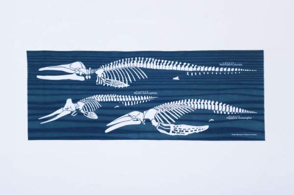 画像1: 大阪湾クジラてぬぐい（深海色） (1)