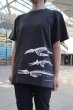 画像4: 【NEW】大阪湾クジラTシャツ (4)