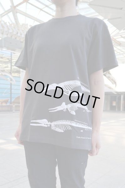 画像4: 大阪湾クジラTシャツ (4)