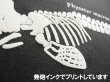 画像9: 【NEW】大阪湾クジラTシャツ (9)