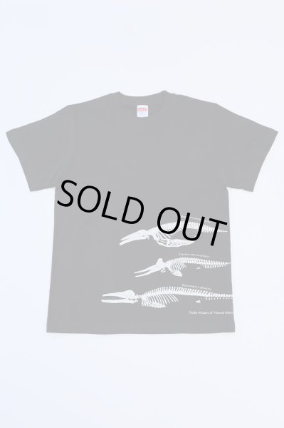 画像2: 大阪湾クジラTシャツ (2)