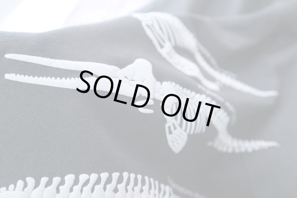 画像8: 大阪湾クジラTシャツ (8)