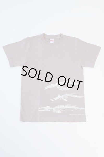 画像3: 大阪湾クジラTシャツ (3)