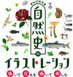 画像4: 「自然史のイラストレーション〜描いて伝える・描いて楽しむ〜」 ポストカード「大阪湾の魚8種」 (4)