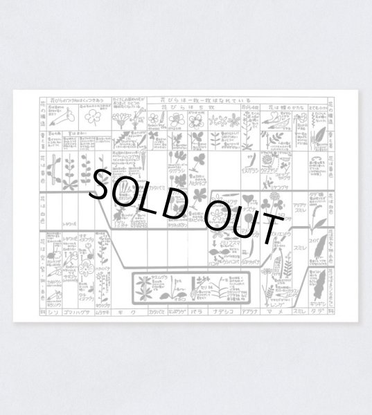 画像1: 「自然史のイラストレーション〜描いて伝える・描いて楽しむ〜」 ポストカード「植物の絵解き検索」 (1)