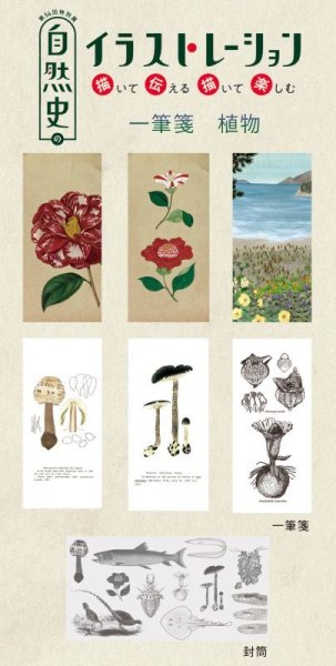 画像11: 「自然史のイラストレーション〜描いて伝える・描いて楽しむ〜」 一筆箋「植物」 (11)