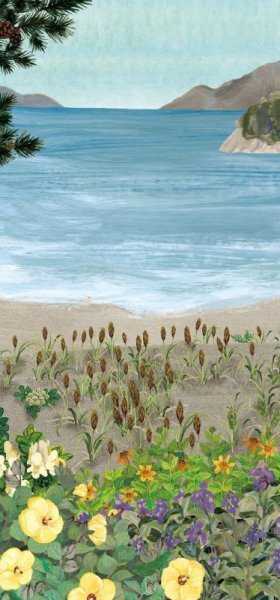 画像4: 「自然史のイラストレーション〜描いて伝える・描いて楽しむ〜」 一筆箋「植物」 (4)