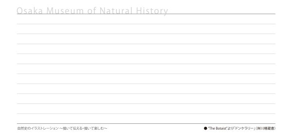 画像9: 「自然史のイラストレーション〜描いて伝える・描いて楽しむ〜」 一筆箋「植物」 (9)