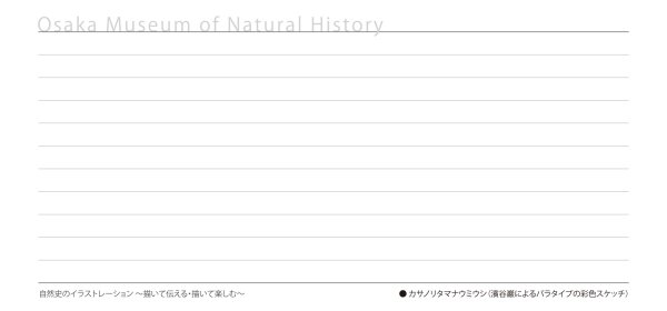 画像8: 「自然史のイラストレーション〜描いて伝える・描いて楽しむ〜」 一筆箋「動物」 (8)