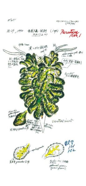 画像7: 「自然史のイラストレーション〜描いて伝える・描いて楽しむ〜」 一筆箋「動物」 (7)