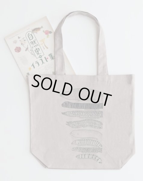 画像3: 「自然史のイラストレーション〜描いて伝える・描いて楽しむ〜」 トートバッグ「ウツボ8種」 (3)