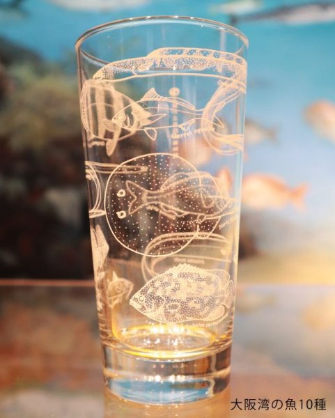 画像6: 「自然史のイラストレーション〜描いて伝える・描いて楽しむ〜」 ロングタンブラー (6)