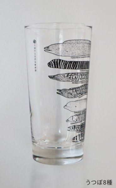 画像4: 「自然史のイラストレーション〜描いて伝える・描いて楽しむ〜」 ロングタンブラー (4)