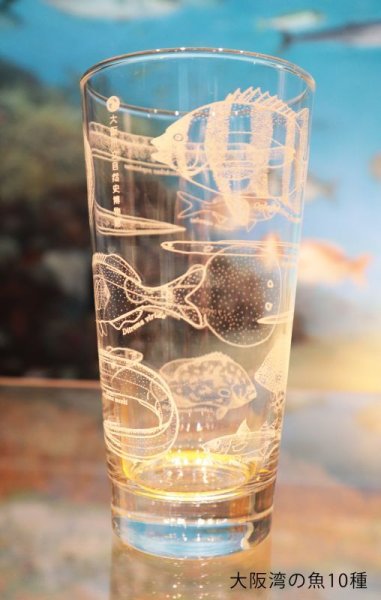 画像7: 「自然史のイラストレーション〜描いて伝える・描いて楽しむ〜」 ロングタンブラー (7)