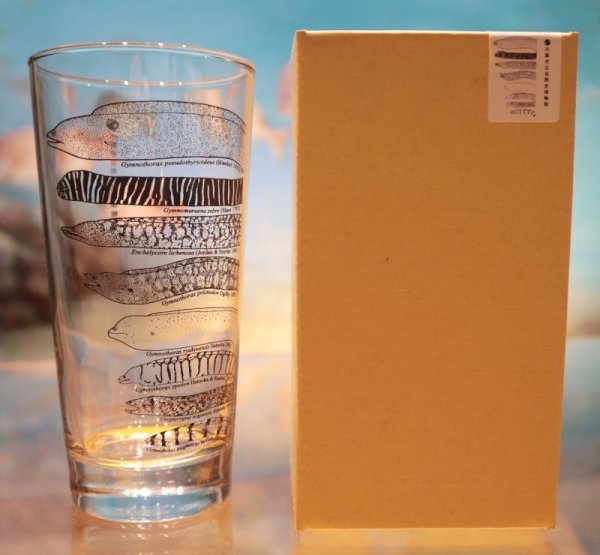 画像5: 「自然史のイラストレーション〜描いて伝える・描いて楽しむ〜」 ロングタンブラー (5)