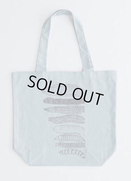 画像5: 「自然史のイラストレーション〜描いて伝える・描いて楽しむ〜」 トートバッグ「ウツボ8種」 (5)