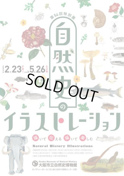 画像7: 「自然史のイラストレーション〜描いて伝える・描いて楽しむ〜」 トートバッグ「ウツボ8種」 (7)