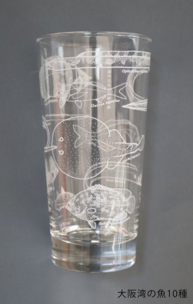 画像8: 「自然史のイラストレーション〜描いて伝える・描いて楽しむ〜」 ロングタンブラー (8)