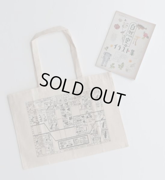 画像6: 「自然史のイラストレーション〜描いて伝える・描いて楽しむ〜」A3エコバッグ (6)